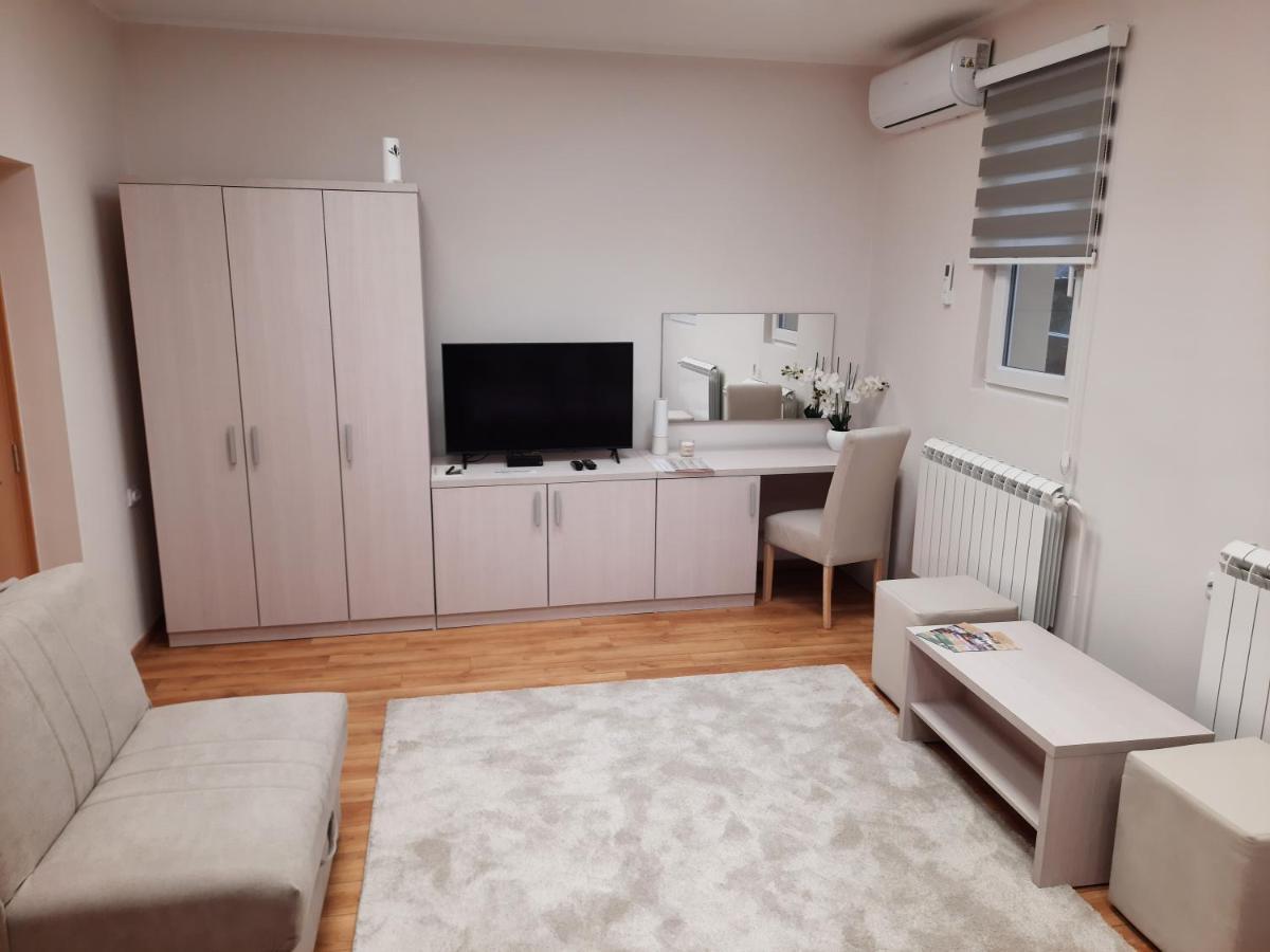 Aleksa 1 Apartment
